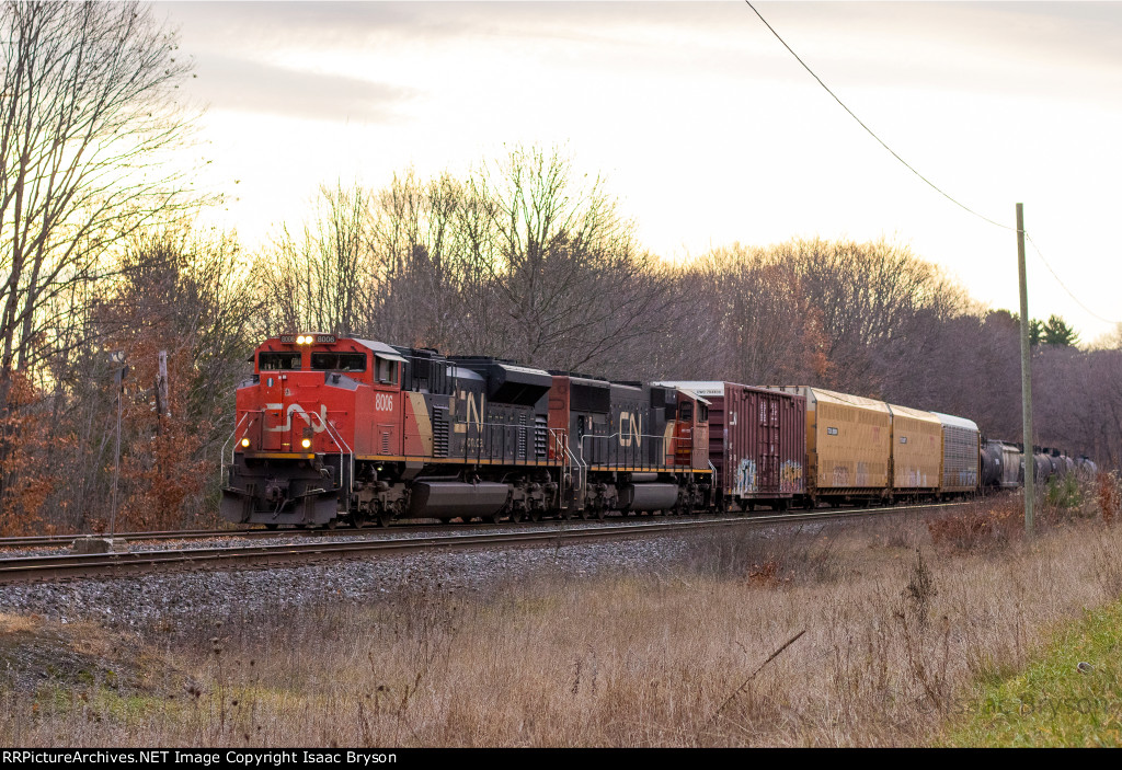 CN 8006